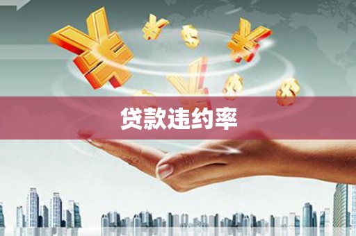 口湖贷款违约率