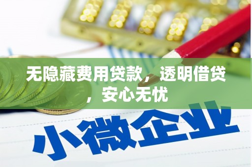 口湖无隐藏费用贷款，透明借贷，安心无忧