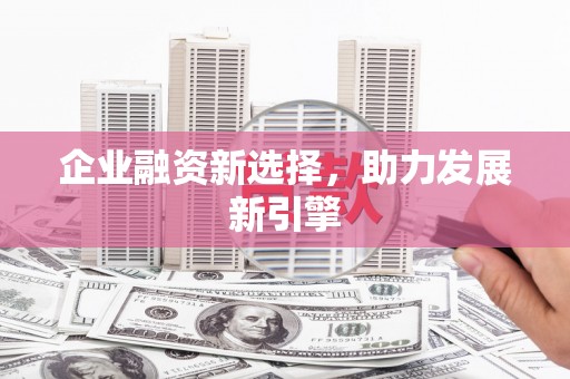 口湖企业融资新选择，助力发展新引擎