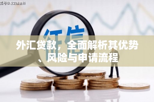 口湖外汇贷款，全面解析其优势、风险与申请流程