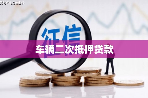 口湖车辆二次抵押贷款