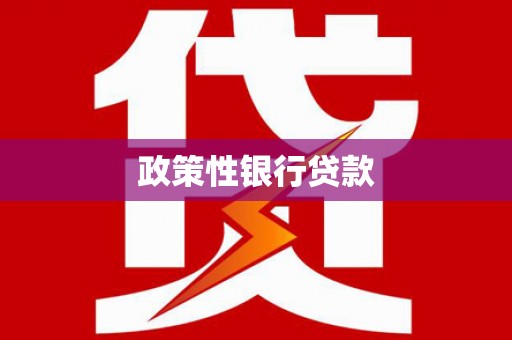 口湖政策性银行贷款