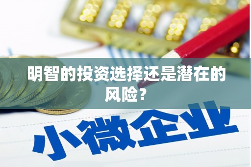口湖明智的投资选择还是潜在的风险？