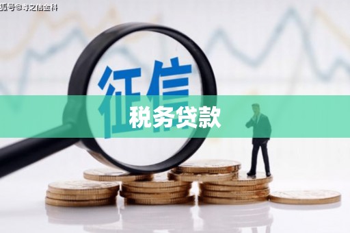 口湖税务贷款