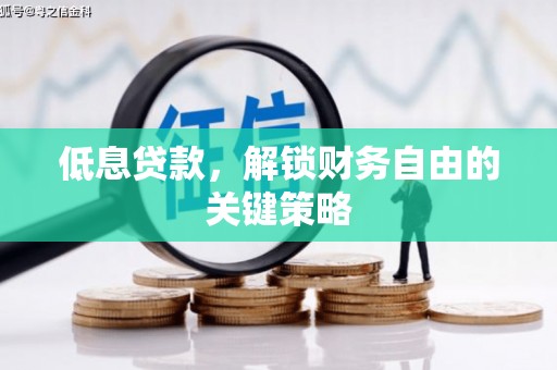 口湖低息贷款，解锁财务自由的关键策略
