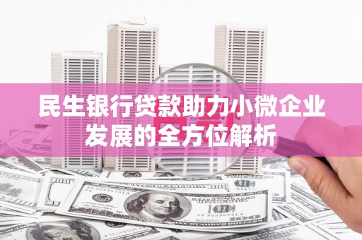 口湖民生银行贷款助力小微企业发展的全方位解析