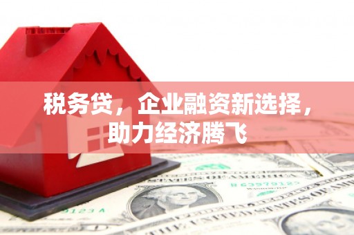口湖税务贷，企业融资新选择，助力经济腾飞