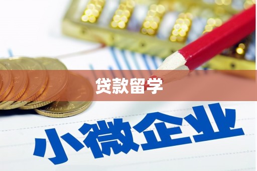 口湖贷款留学
