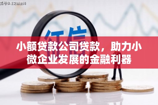 口湖小额贷款公司贷款，助力小微企业发展的金融利器