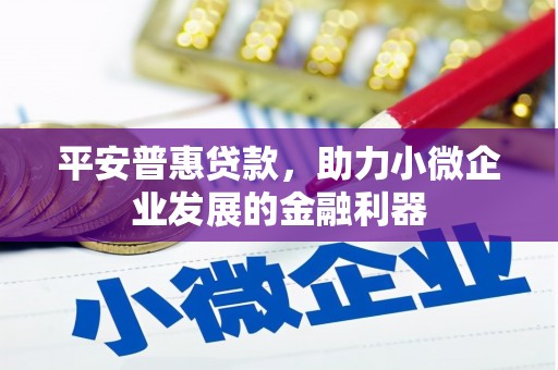 口湖平安普惠贷款，助力小微企业发展的金融利器