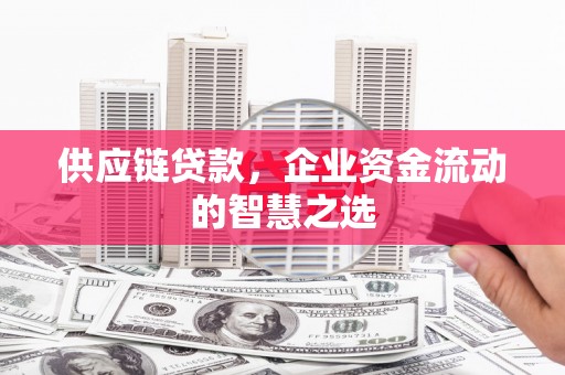 口湖供应链贷款，企业资金流动的智慧之选