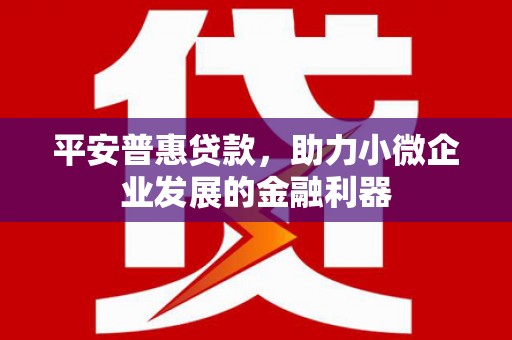 口湖平安普惠贷款，助力小微企业发展的金融利器