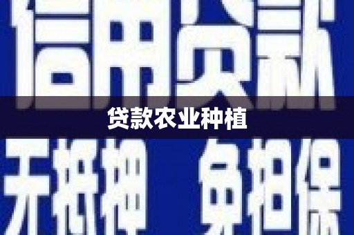 口湖贷款农业种植