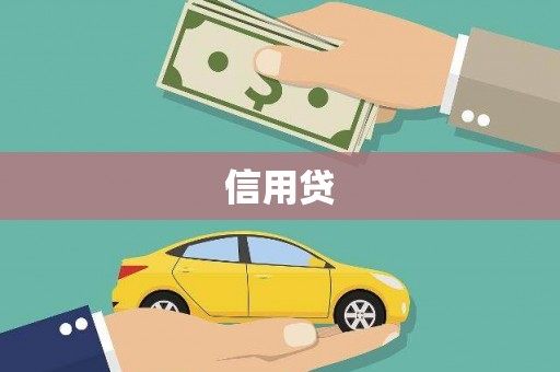 口湖信用贷