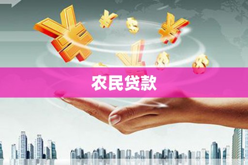 口湖农民贷款