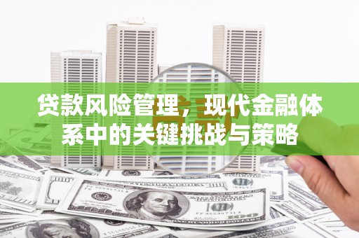 口湖贷款风险管理，现代金融体系中的关键挑战与策略