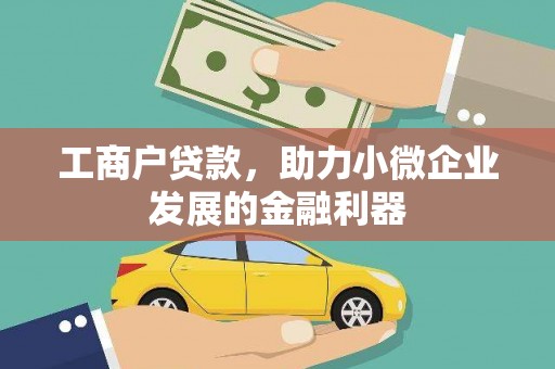 口湖工商户贷款，助力小微企业发展的金融利器