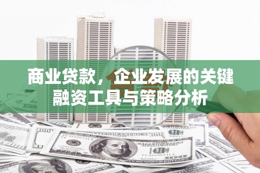 口湖商业贷款，企业发展的关键融资工具与策略分析