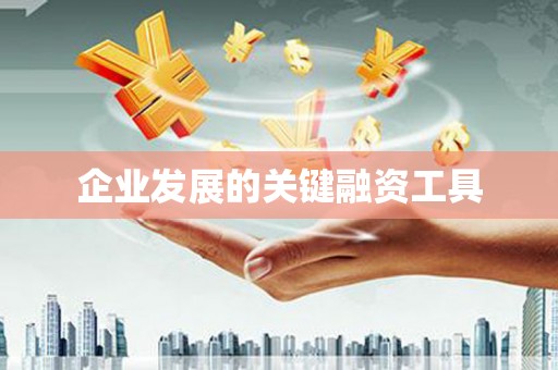 口湖企业发展的关键融资工具