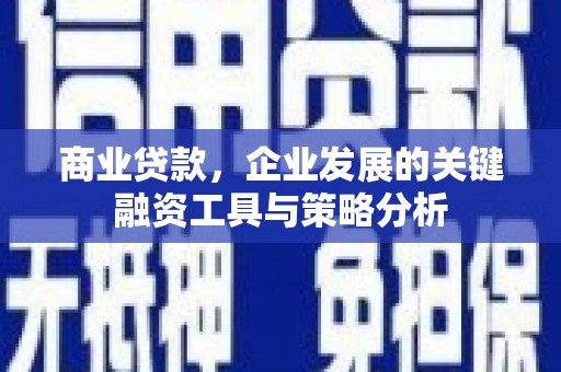 口湖商业贷款，企业发展的关键融资工具与策略分析