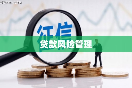口湖贷款风险管理