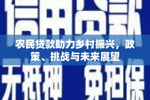 口湖农民贷款助力乡村振兴，政策、挑战与未来展望