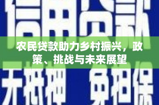 口湖农民贷款助力乡村振兴，政策、挑战与未来展望