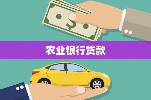 口湖农业银行贷款