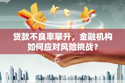 口湖贷款不良率攀升，金融机构如何应对风险挑战？