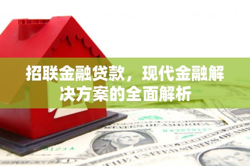 口湖招联金融贷款，现代金融解决方案的全面解析
