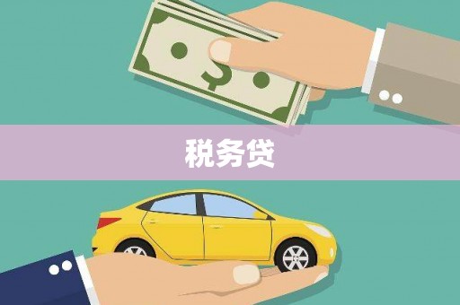 口湖税务贷