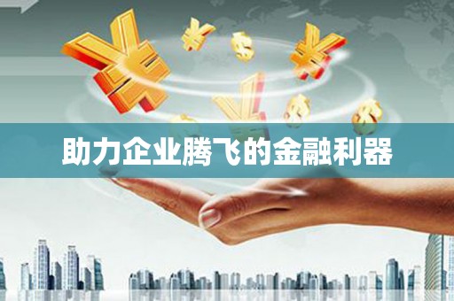 口湖助力企业腾飞的金融利器