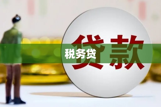 口湖税务贷