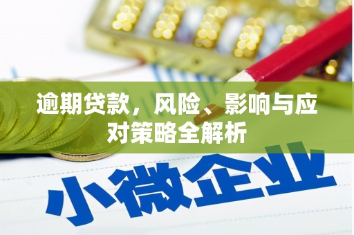 口湖逾期贷款，风险、影响与应对策略全解析