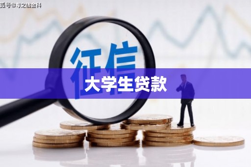 口湖大学生贷款