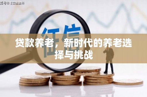 口湖贷款养老，新时代的养老选择与挑战
