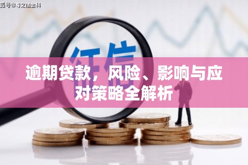 口湖逾期贷款，风险、影响与应对策略全解析