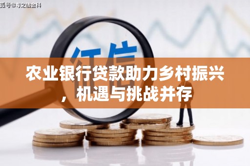 口湖农业银行贷款助力乡村振兴，机遇与挑战并存