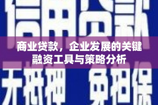 口湖商业贷款，企业发展的关键融资工具与策略分析