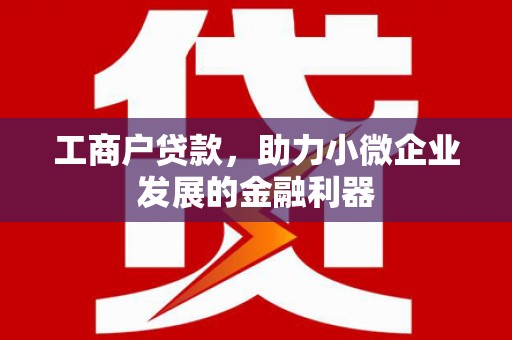 口湖工商户贷款，助力小微企业发展的金融利器