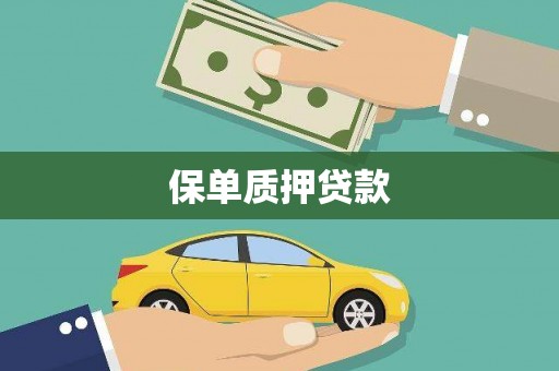 口湖保单质押贷款