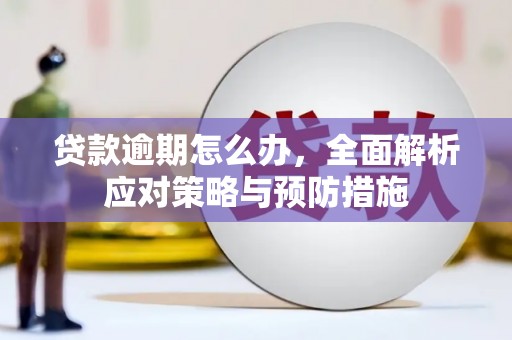 口湖贷款逾期怎么办，全面解析应对策略与预防措施
