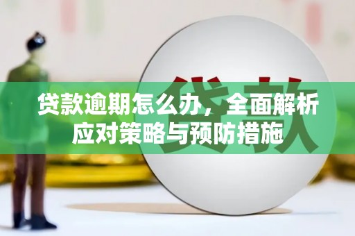 口湖贷款逾期怎么办，全面解析应对策略与预防措施