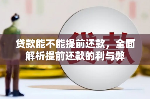 口湖贷款能不能提前还款，全面解析提前还款的利与弊