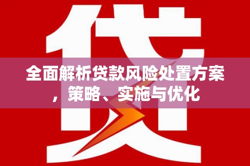 口湖全面解析贷款风险处置方案，策略、实施与优化
