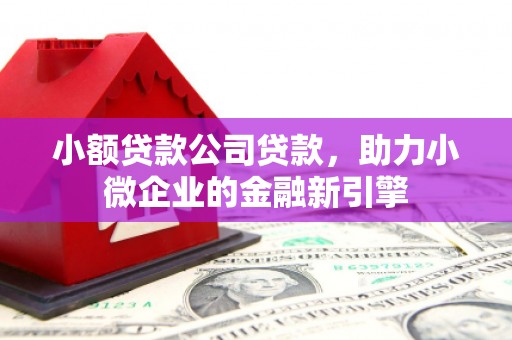 口湖小额贷款公司贷款，助力小微企业的金融新引擎