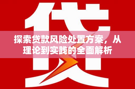口湖探索贷款风险处置方案，从理论到实践的全面解析