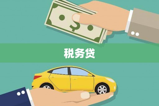 口湖税务贷