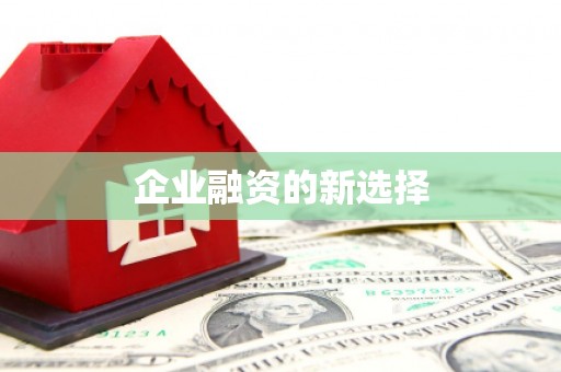 口湖企业融资的新选择