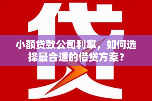 口湖小额贷款公司利率，如何选择最合适的借贷方案？